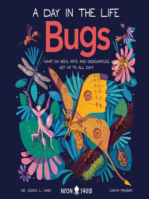 Title details for A Day in the Life of Bugs by Dr. Jessica L. Ware - Available